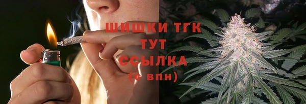 винт Михайлов
