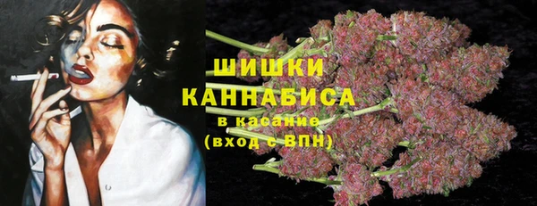 ПСИЛОЦИБИНОВЫЕ ГРИБЫ Михайловка