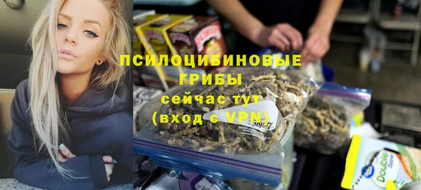 трава Медвежьегорск