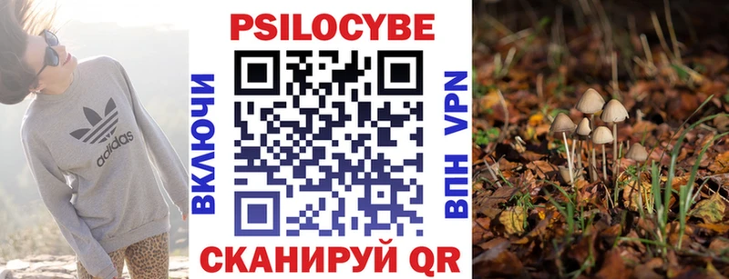 Галлюциногенные грибы GOLDEN TEACHER  Мензелинск 